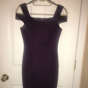 Calvin Klein plum dress size 2